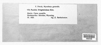 Image Associated With the Occurence